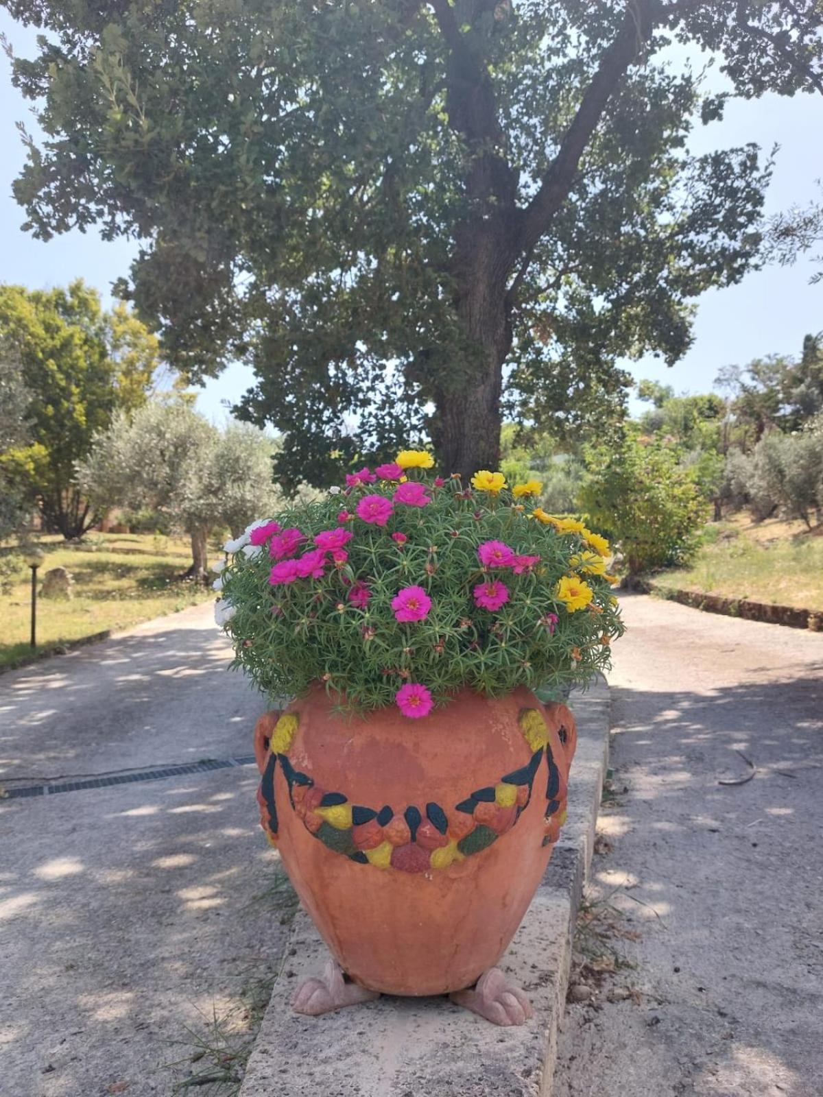 La Selvarella Montecchio  Dış mekan fotoğraf